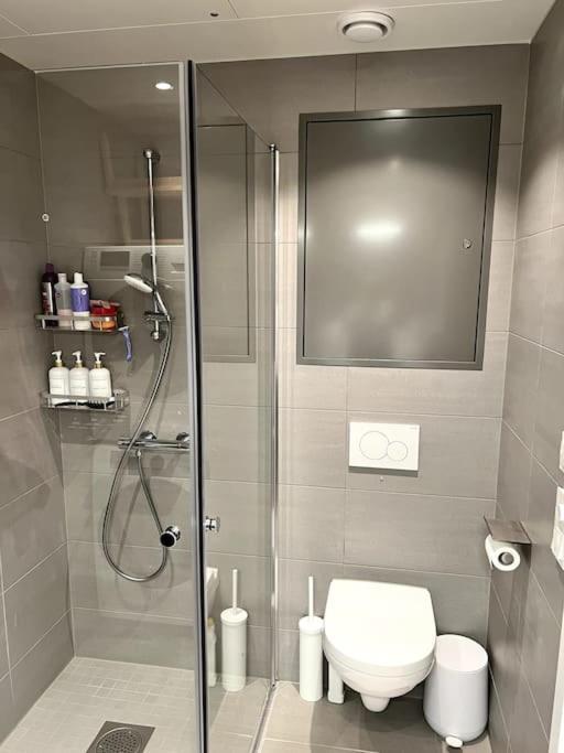 Modern 2 Bedroom In Center